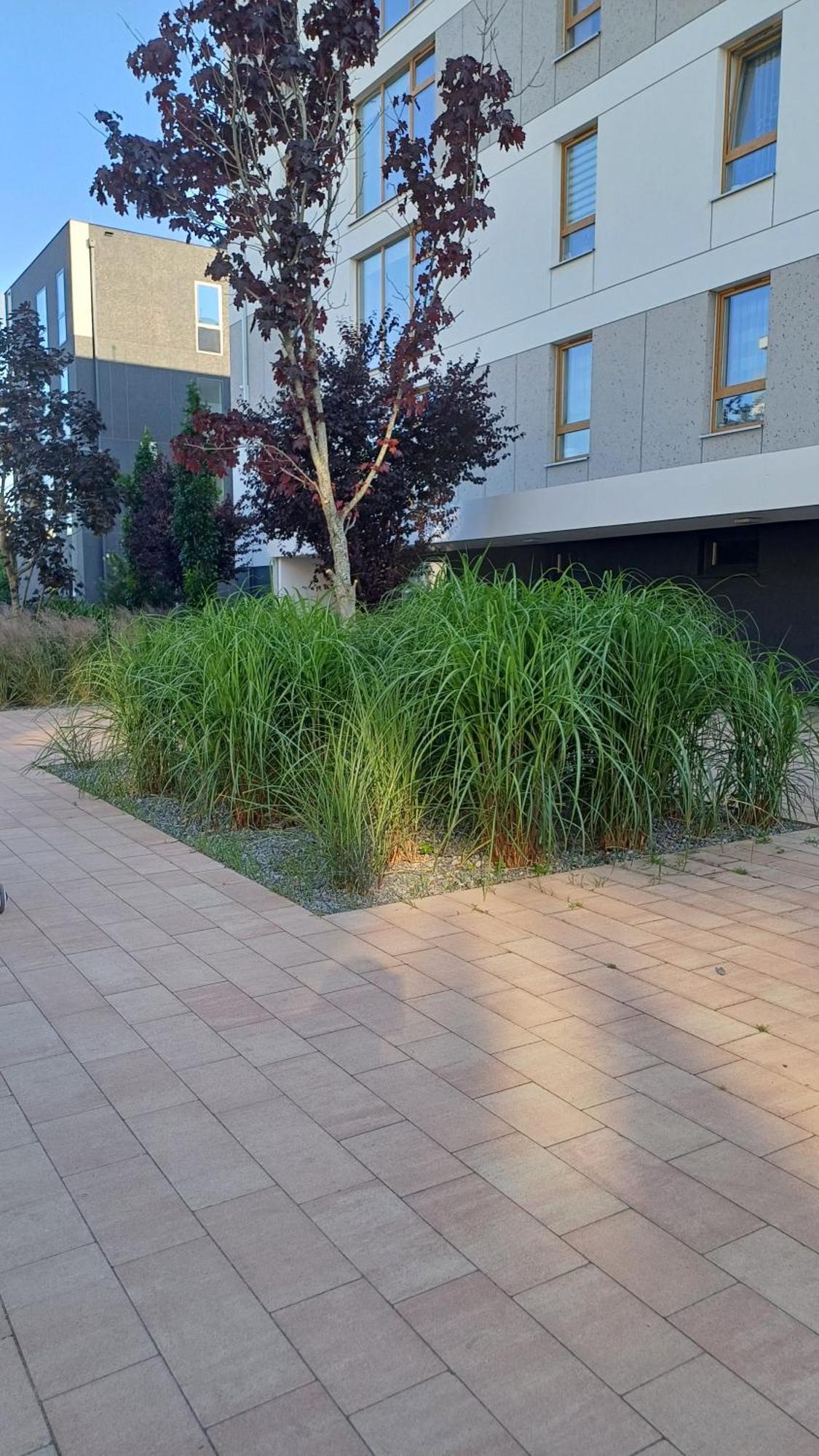 Apartament Davima Aquapark Rumia - Novum Dış mekan fotoğraf